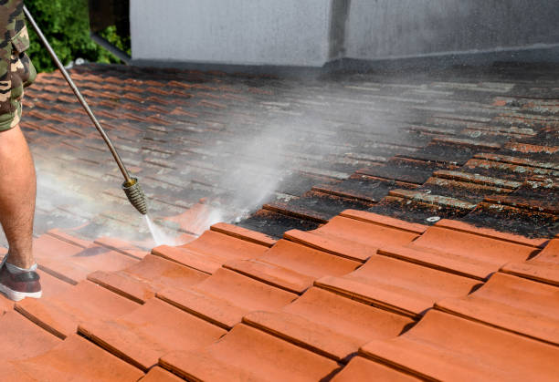 Best Residential Pressure Washing Services  in Theresa, WI