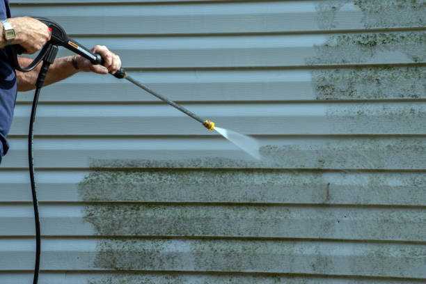 Best Roof Power Washing Services  in Theresa, WI