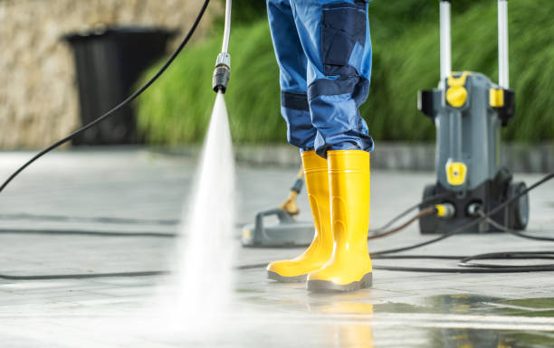 Best Deck Cleaning Services  in Theresa, WI