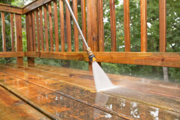 Best Best Pressure Washing Companies  in Theresa, WI