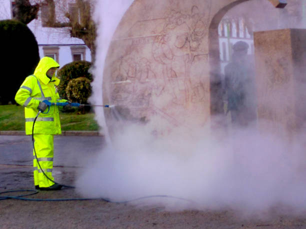Best Pressure Washing Company Near Me  in Theresa, WI